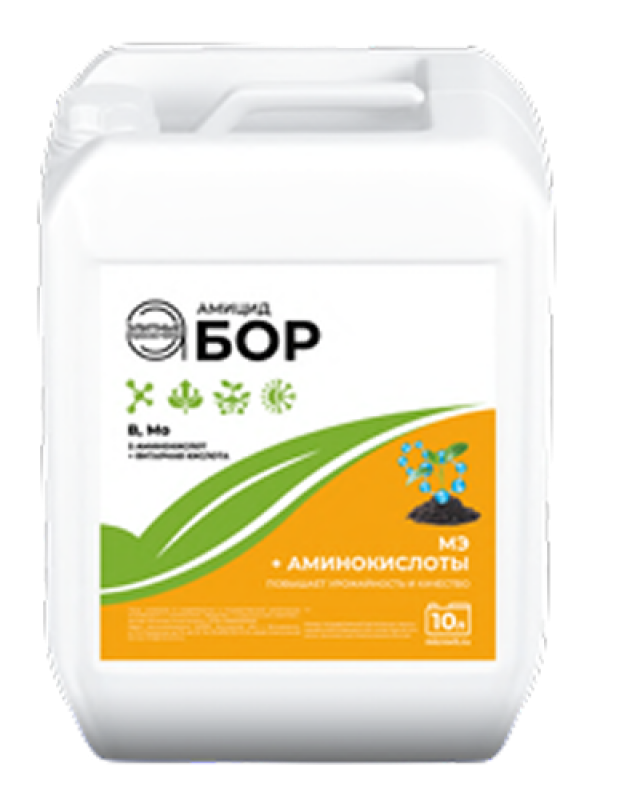 amicidbor