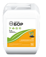 amicidbor